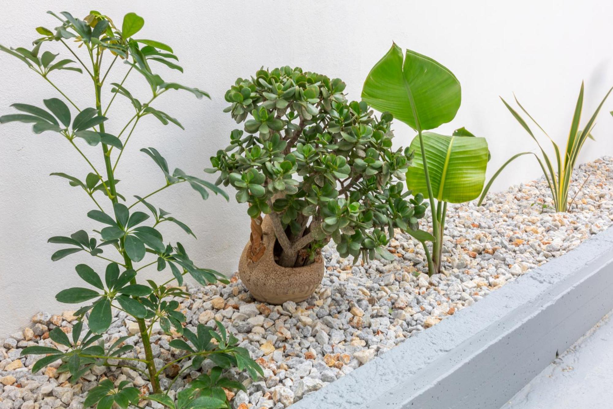 Garden Luxury Apartment Iraklio Eksteriør billede