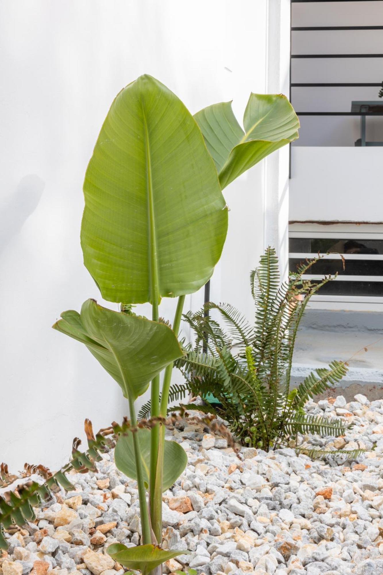 Garden Luxury Apartment Iraklio Eksteriør billede